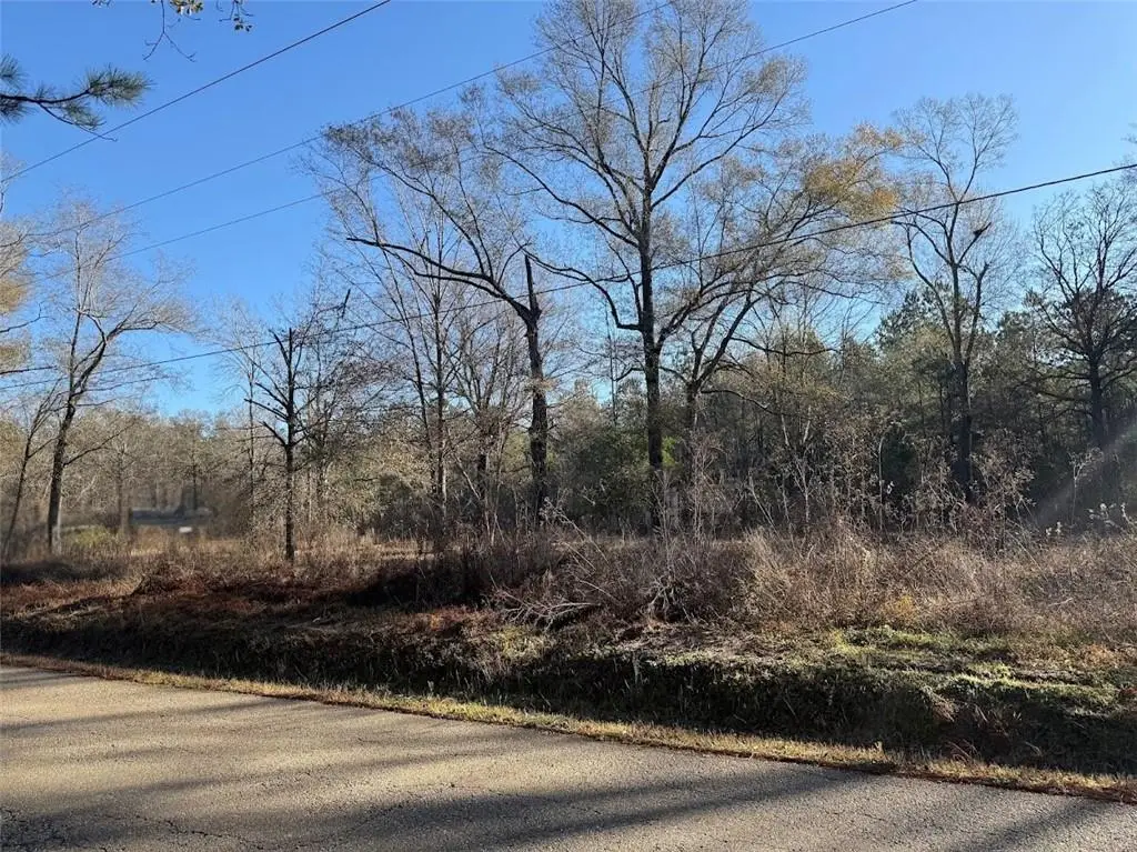 25230 Fire Tower Road, Holden, LA 70744 - #1