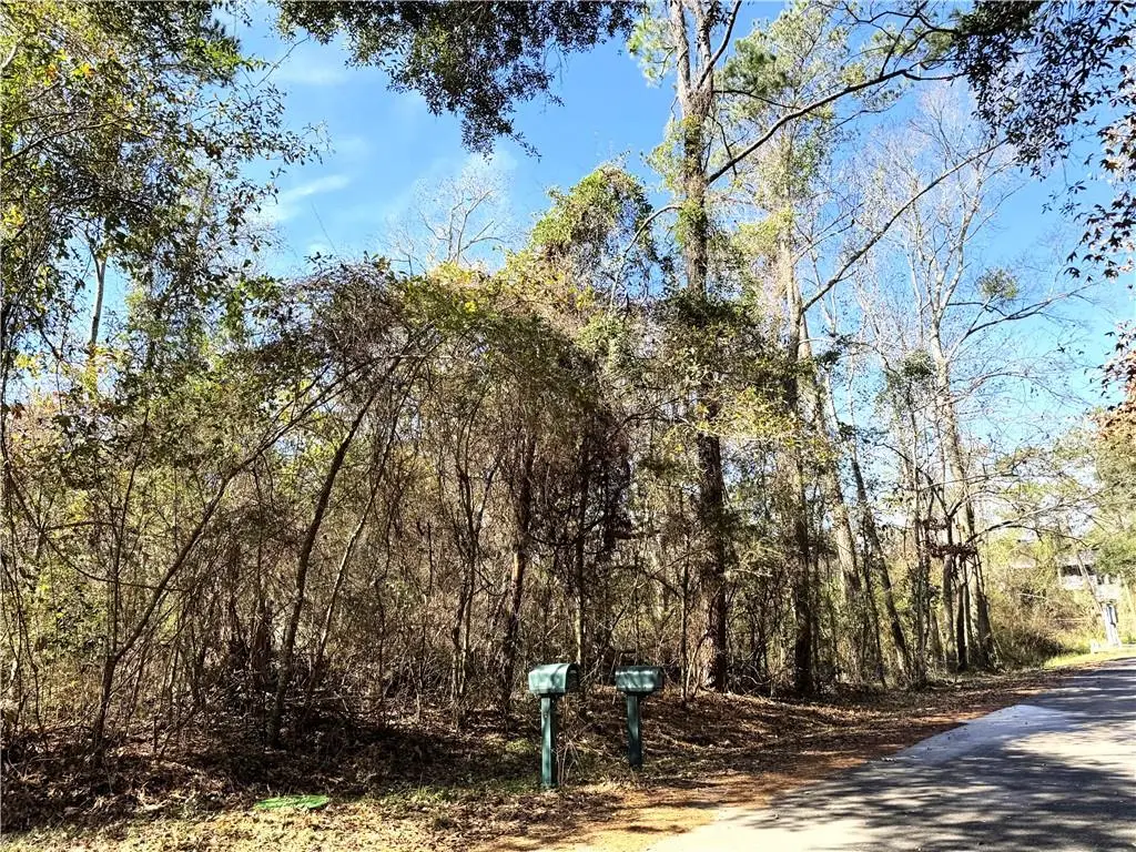 Soult (villere Corner) Street, Mandeville, LA 70448 - #1