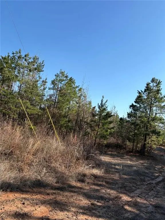 62.71 Acres Hwy 120 Road, Flora, LA 71428 - #2