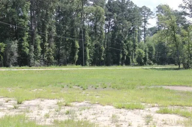 24755 442 Highway, Independence, LA 70443 - #2