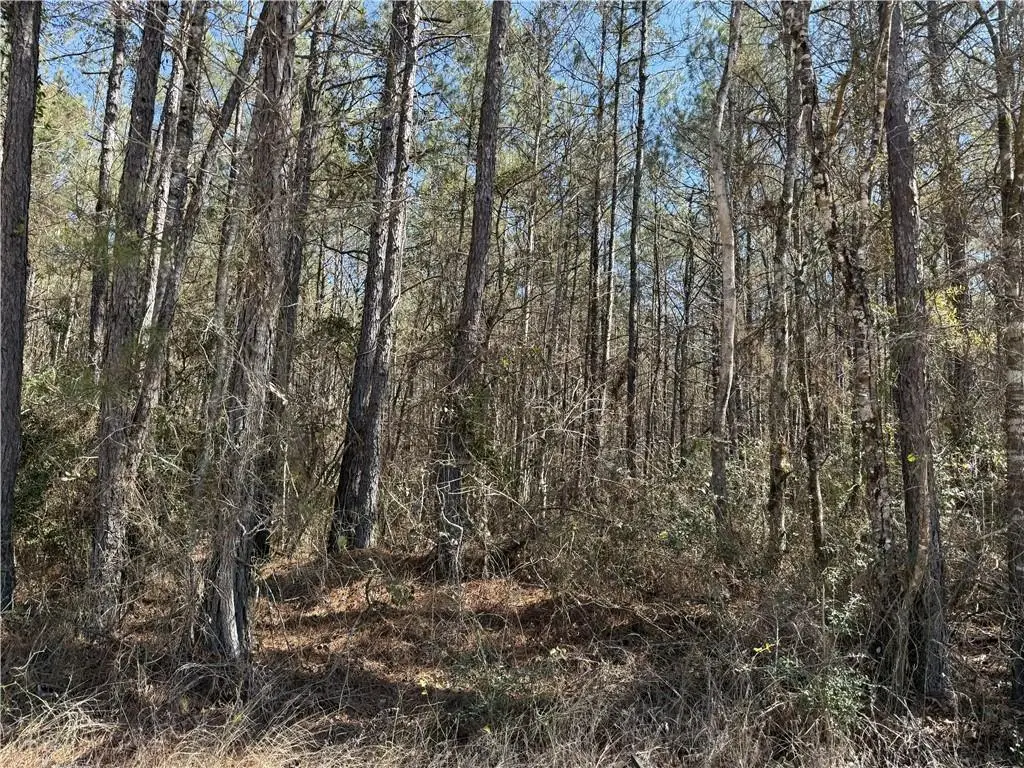 TBD Carrier Road, Oakdale, LA 71463 - #1