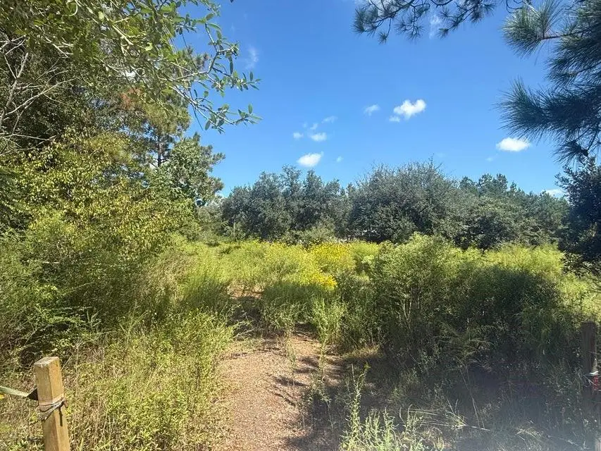 999 Memorial Ch Road, Longville, LA 70652 - #1