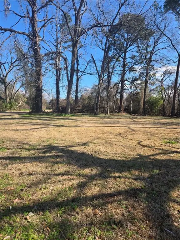 207 Bogan Street, Alexandria, LA 71302 - #2