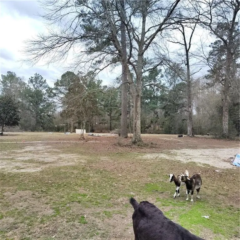 11607 Will Talley Road, Bogalusa, LA 70427 - #3