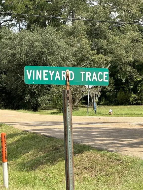 47052 Vineyard Trace, Hammond, LA 70401 - #2