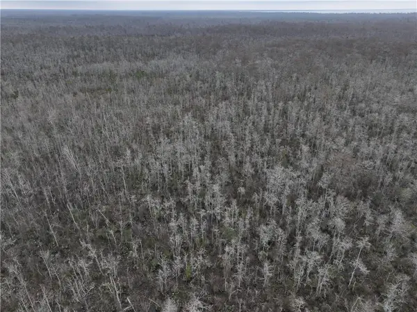 0 Lower Rome Road, Springfield, LA 70462