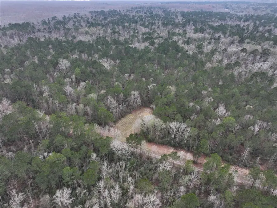 0 Lower Rome Road, Springfield, LA 70462 - #3