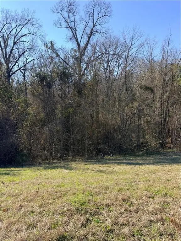 000 Highway 165, Pollock, LA 71467 - #3