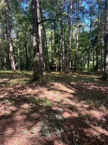 1009 East Nantachie Drive, Montgomery, LA 71454 - #2