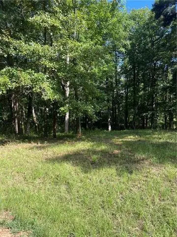 1009 East Nantachie Drive, Montgomery, LA 71454 - #3