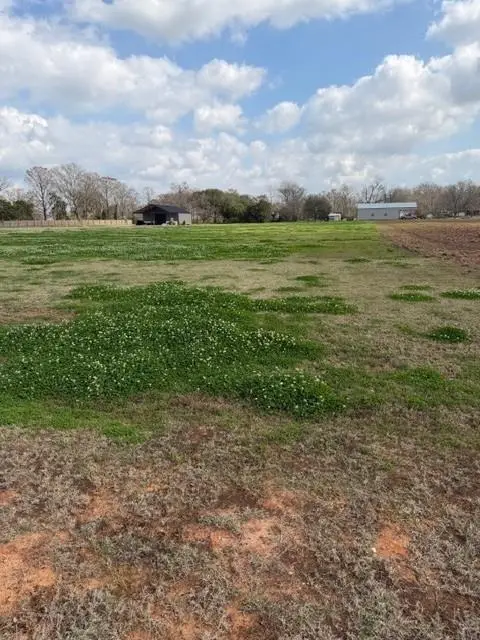 4574 Navy's Way, Boyce, LA 71409 - #1