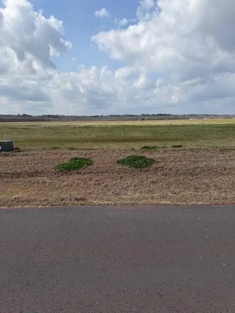 4574 Navy's Way, Boyce, LA 71409 - #2