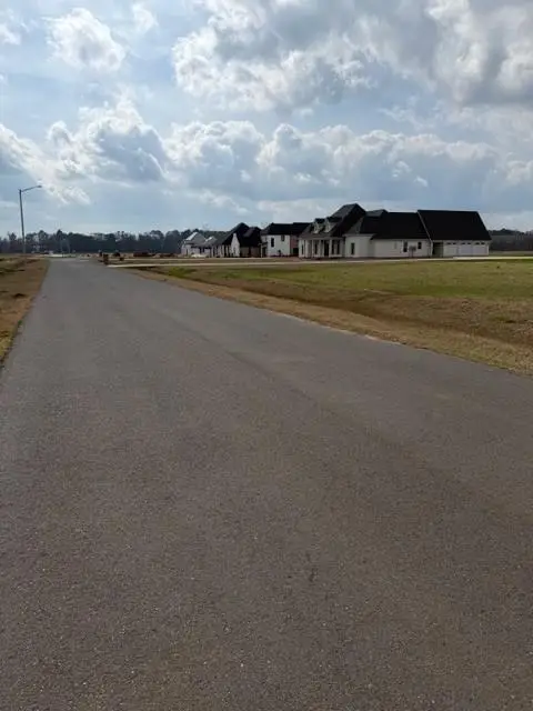 4574 Navy's Way, Boyce, LA 71409 - #3