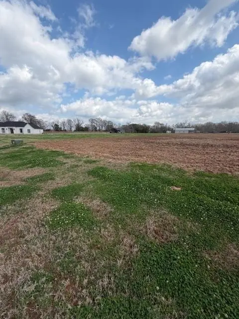 4568 Navys Way, Boyce, LA 71409 - #2