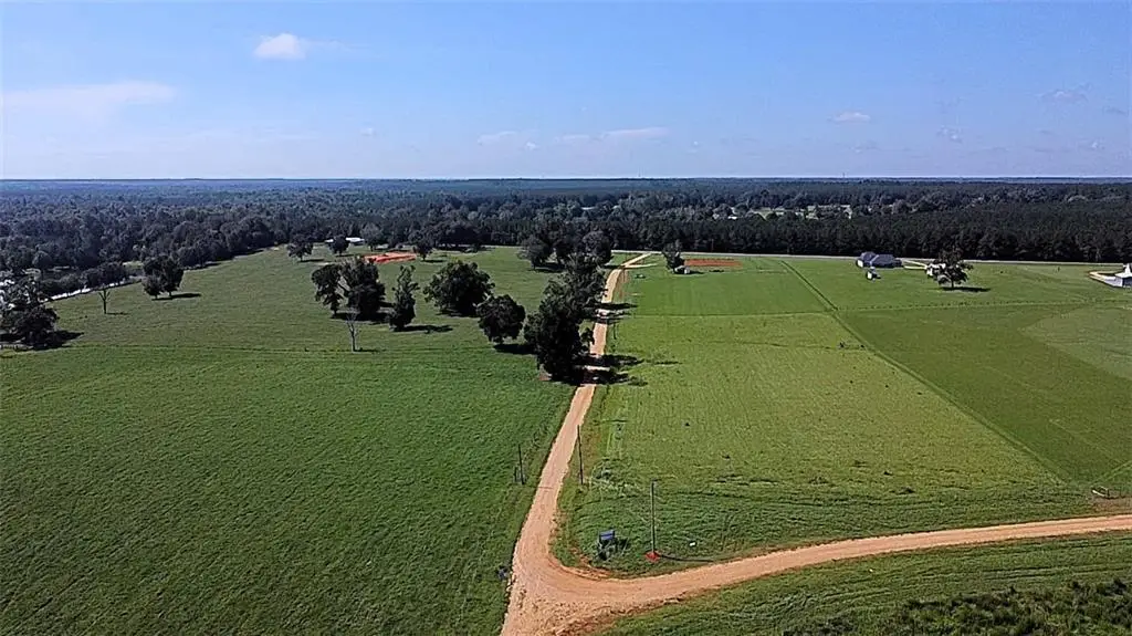 Lot C-4 Kippy Lane, Amite, LA 70422 - #1