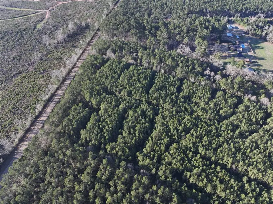 Hwy 43 Highway, Greensburg, LA 70441 - #3