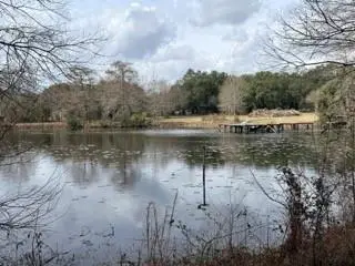 24050 Lowe Davis Road, Covington, LA 70435 - #3