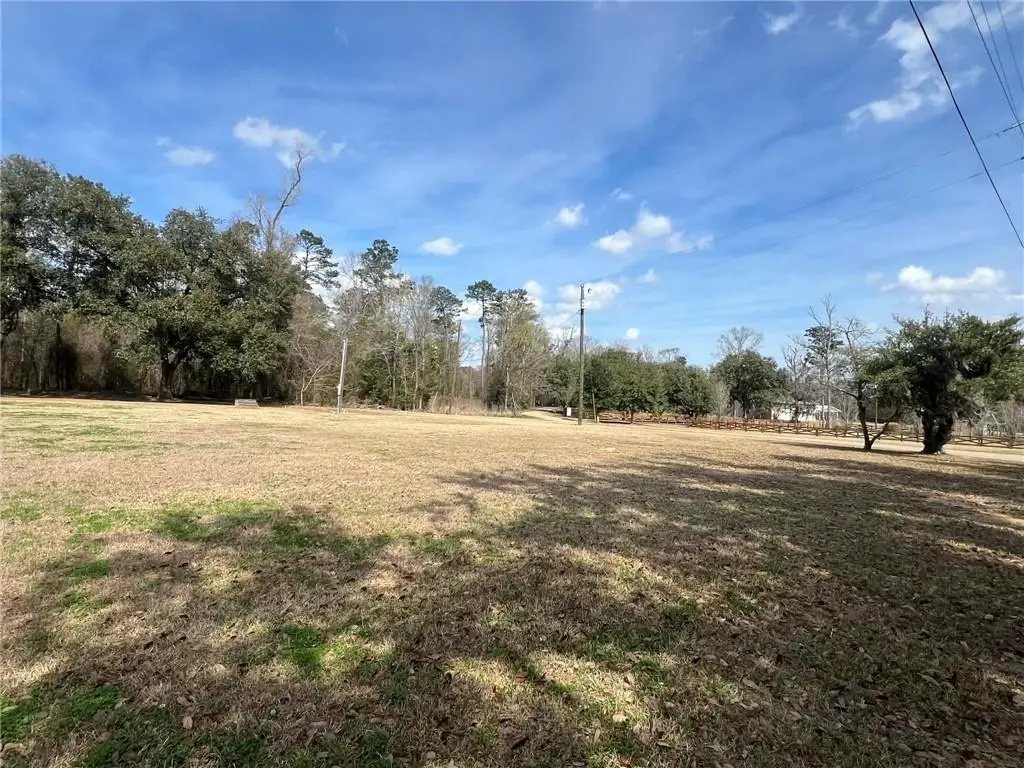 16683 Meissner Road, Springfield, LA 70462 - #1