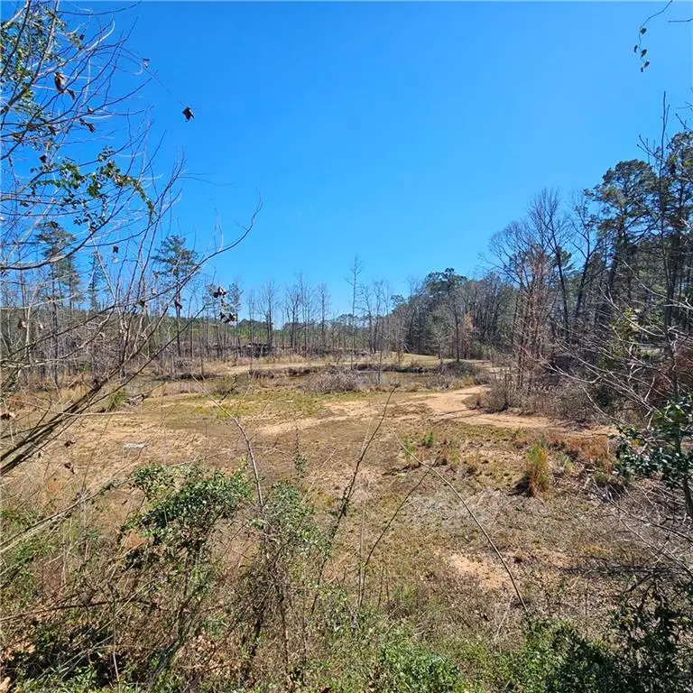 1531 Nelms Loop, Colfax, LA 71417 - #2