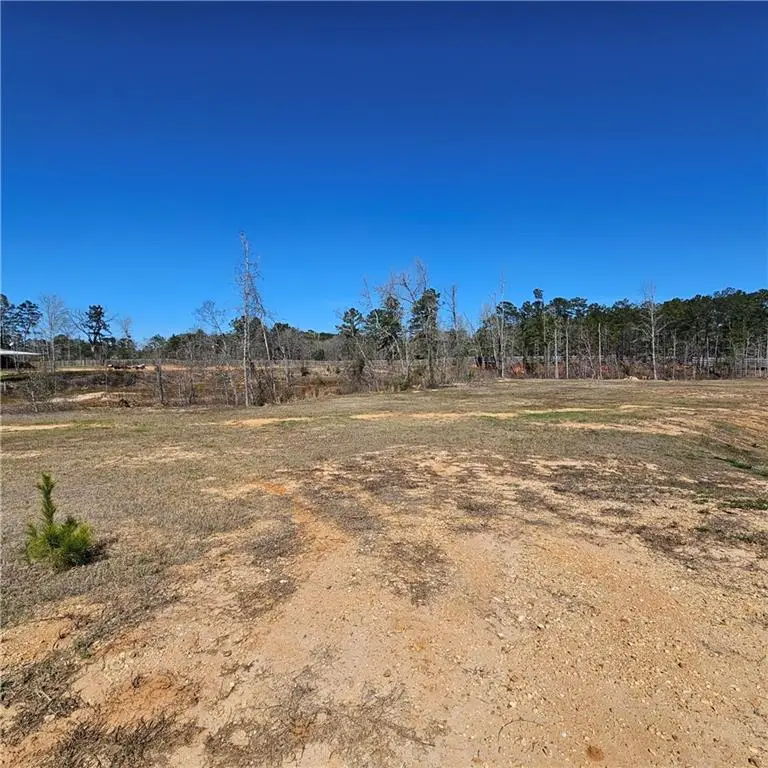 1531 Nelms Loop, Colfax, LA 71417 - #3