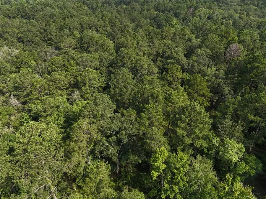 41135 Roper Road, Ponchatoula, LA 70454 - #2