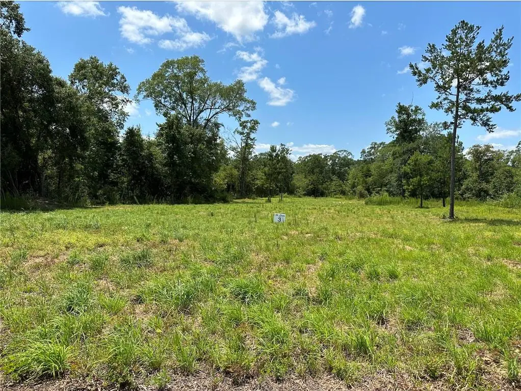 Lot 3 The Banks Dr, Hwy 16 Highway, Franklinton, LA 70438 - #1