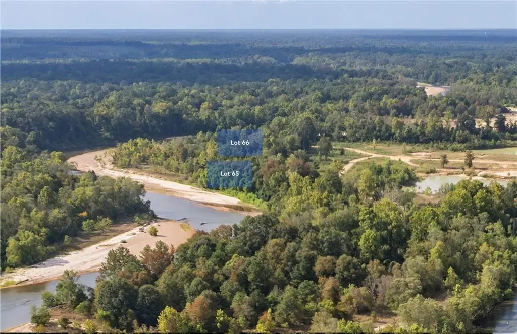 Lot 66 The Banks Drive - Hwy 16 Highway, Franklinton, LA 70438 - #1