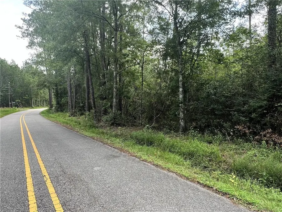 115 Acres Watts Thomas Road, Bush, LA 70431 - #3