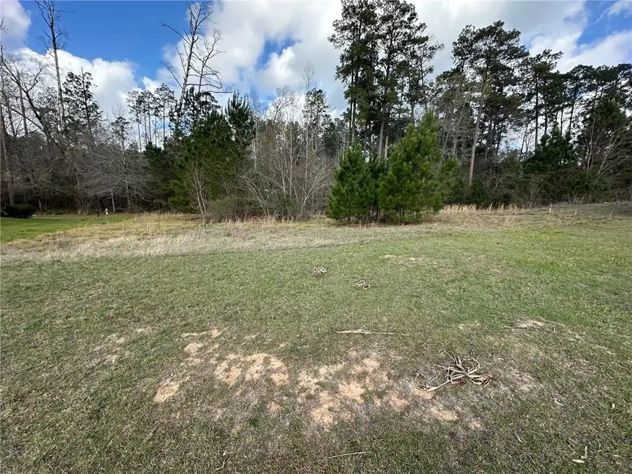 205 Chloe Lane, Pineville, LA 71360 - #3