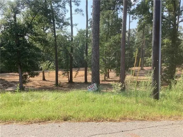 Amelia Lot 11 Lane, Boyce, LA 71409 - #1