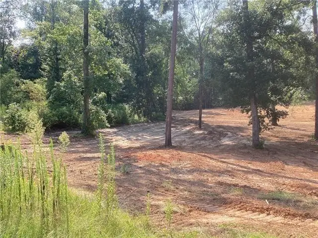 0 Amelia Lot 14 Lane, Boyce, LA 71409 - #1