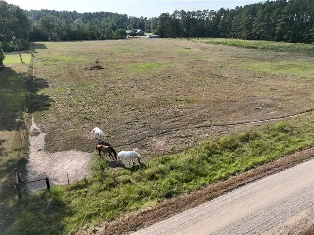 TW-1A2B Karli Lane, Albany, LA 70711 - #2