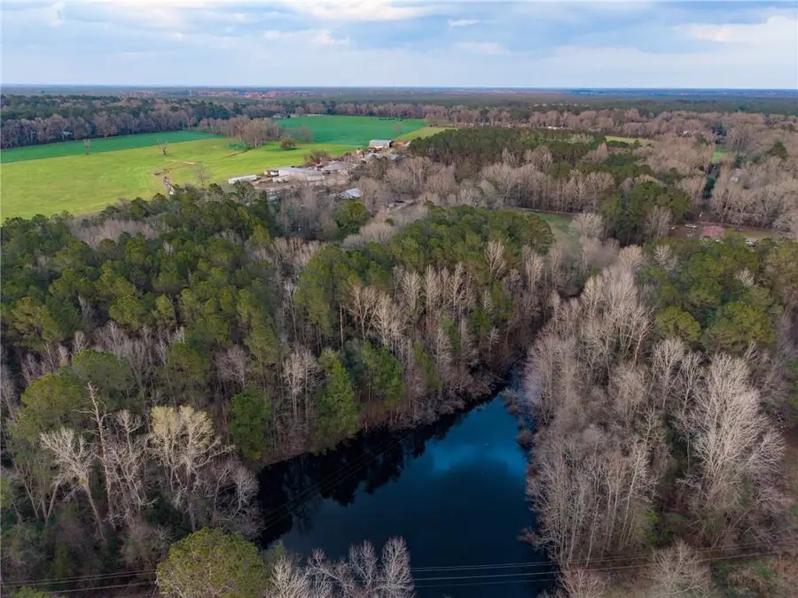 40045 Archie Wallace Road, Franklinton, LA 70438 - #3