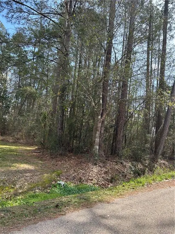 60312 Cerise Drive, Lacombe, LA 70445 - #2