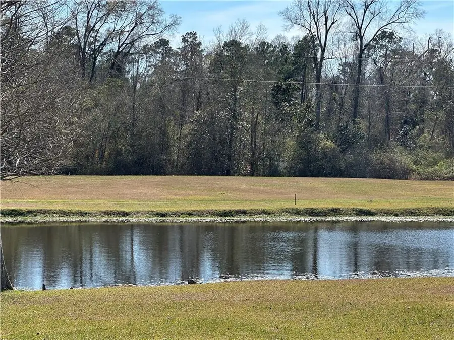 Clinton Threeton Drive, Albany, LA 70711 - #3