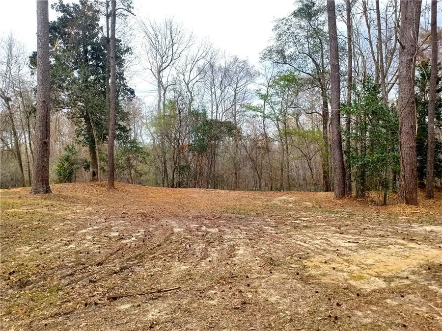 14071 Cypress Crest Lane, Ponchatoula, LA 70454 - #2