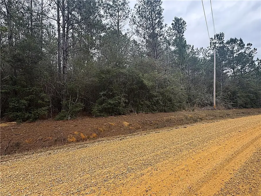 Lot 18 Melanie Circle, Amite, LA 70422 - #2