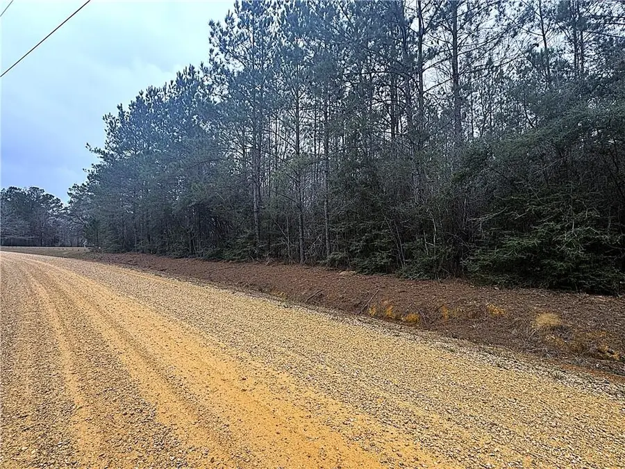 Lot 18 Melanie Circle, Amite, LA 70422 - #3