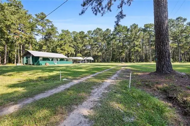 27499 Turkey Creek Road, Independence, LA 70443 - #2
