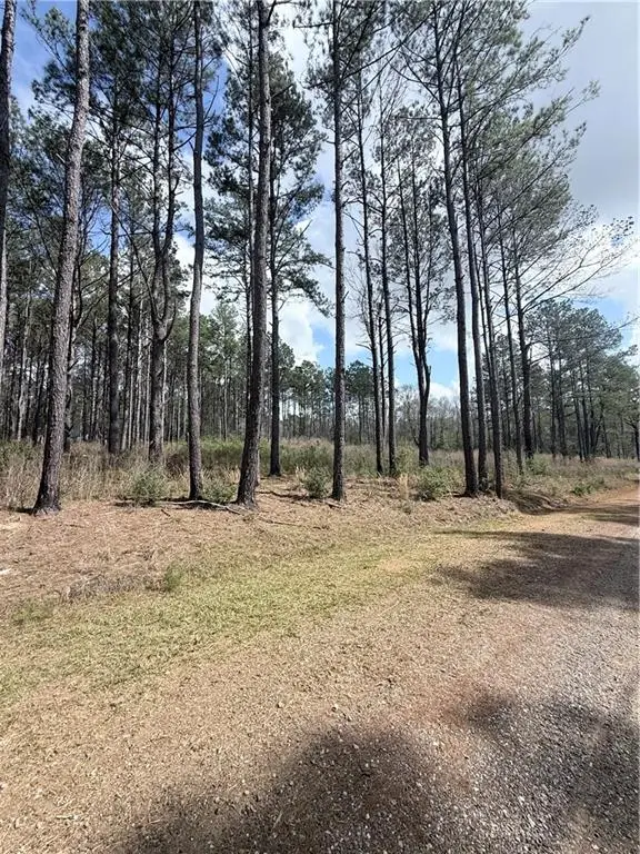 M-3 Hidden Hills Drive, Franklinton, LA 70438 - #1