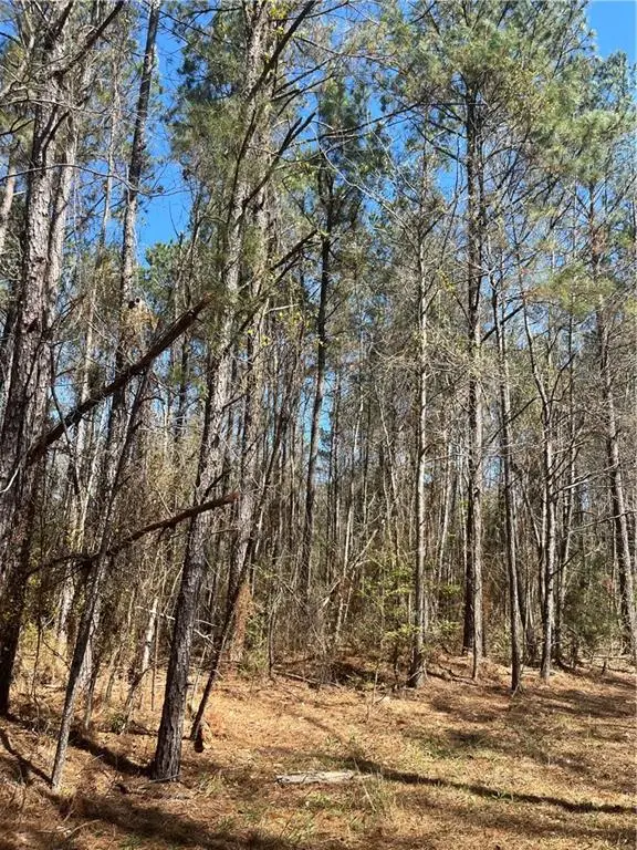 60052 Louise Talley Road, Bogalusa, LA 70427