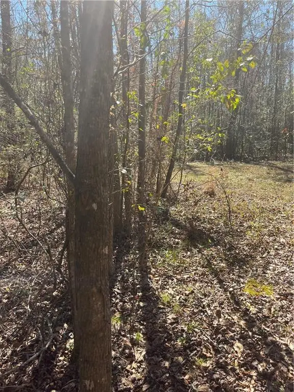 60052 Louise Talley Road, Bogalusa, LA 70427 - #3