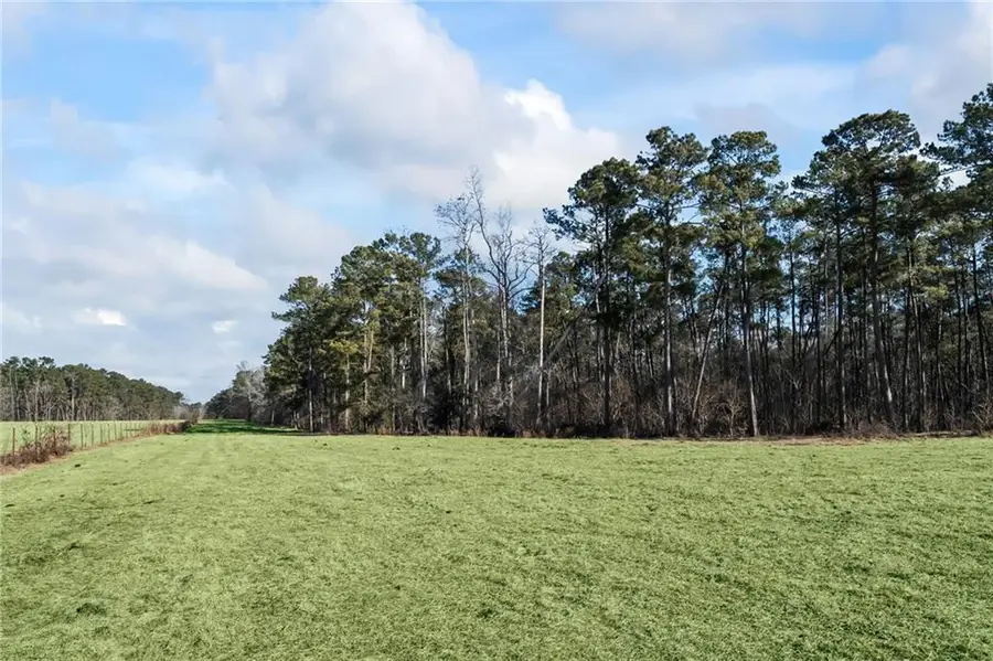 Rhoner Road, Amite, LA 70422 - #2