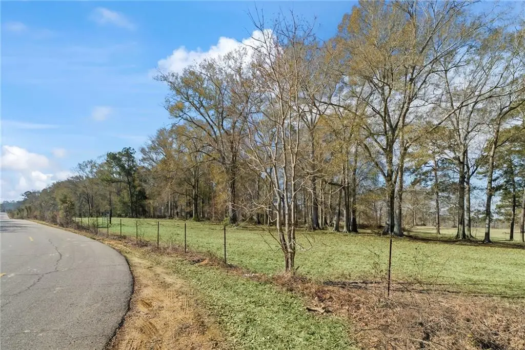 Rhoner Road, Amite, LA 70422 - #1