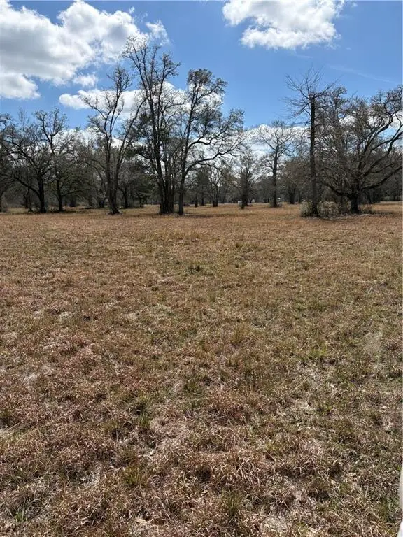 999 Teat Blackwell Road, Pearl River, LA 70452 - #3