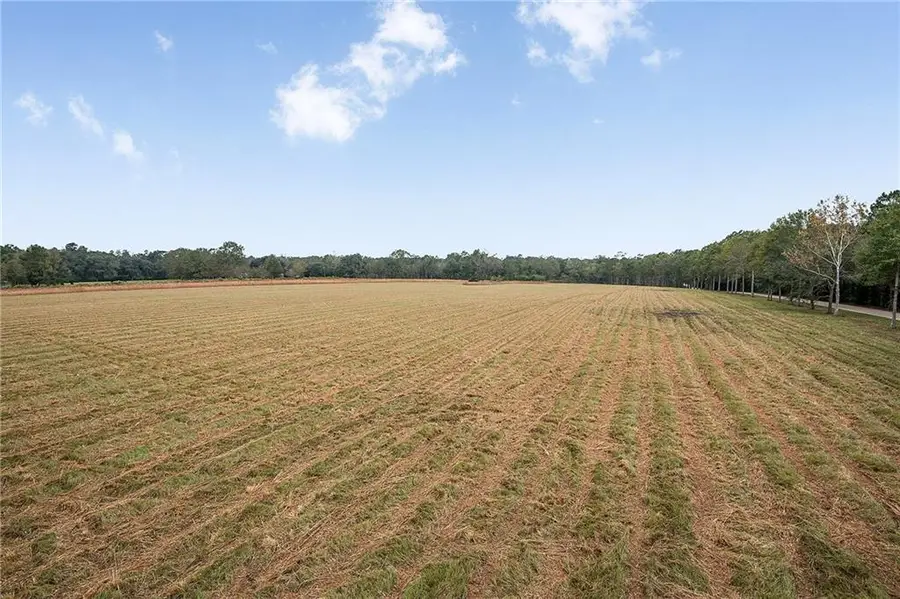 12294 Quaglino Road, Folsom, LA 70437 - #2