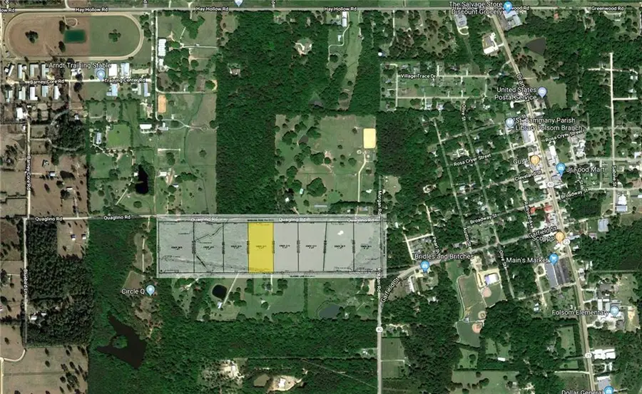 12294 Quaglino Road, Folsom, LA 70437 - #3