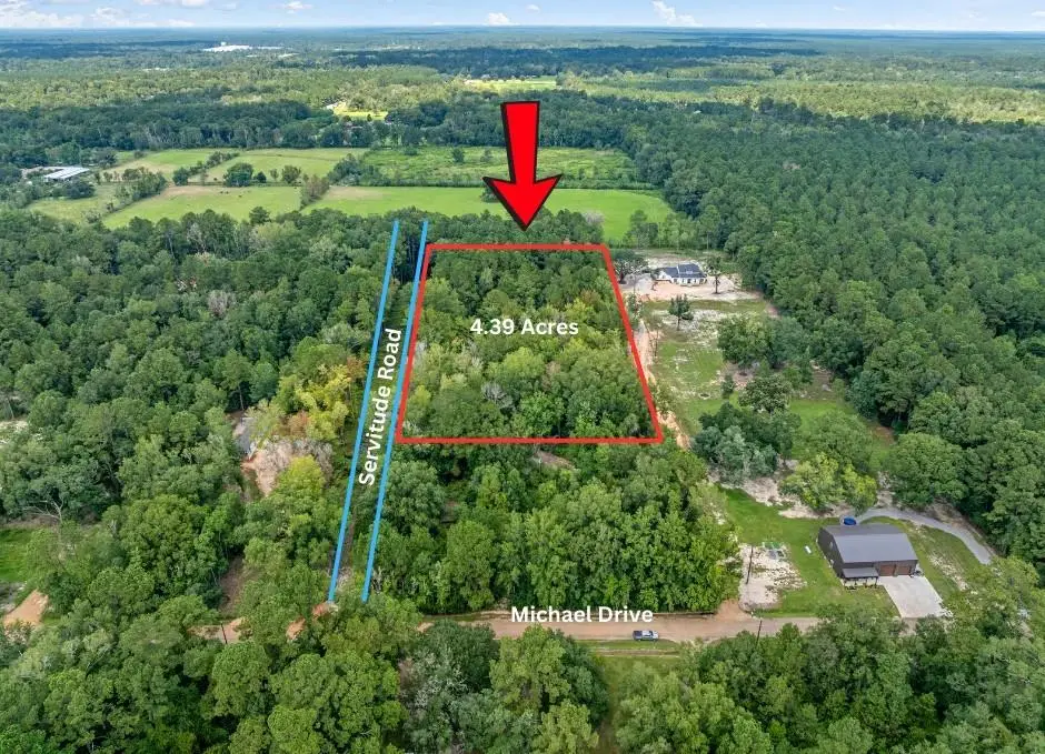 24411 Michael Drive, Ponchatoula, LA 70454 - #1