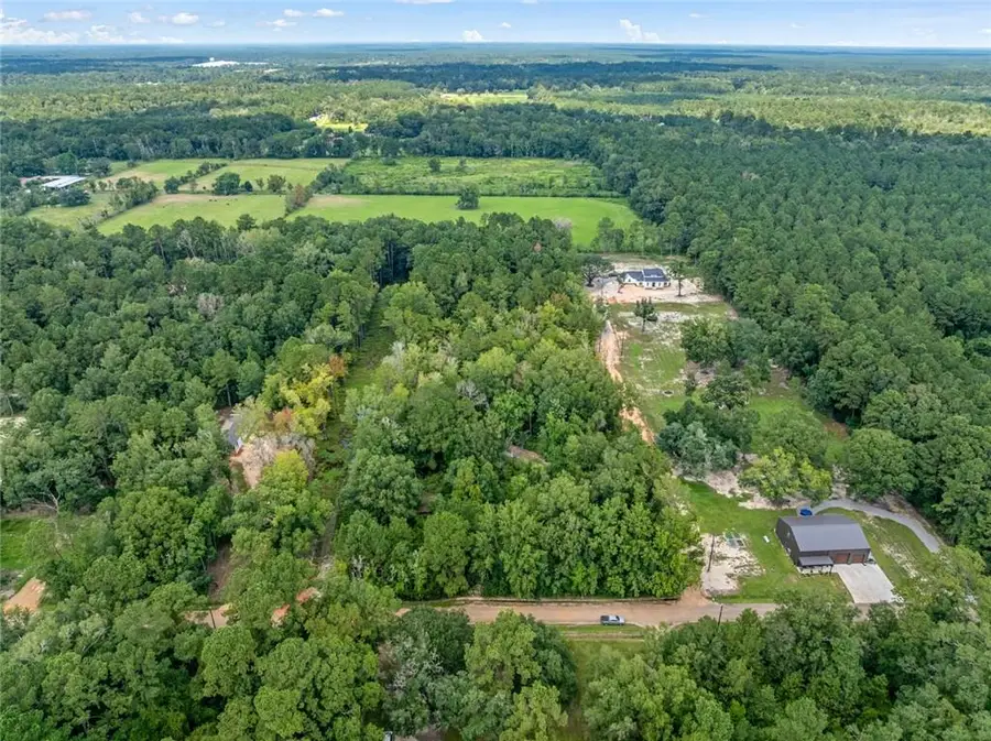 24411 Michael Drive, Ponchatoula, LA 70454 - #2