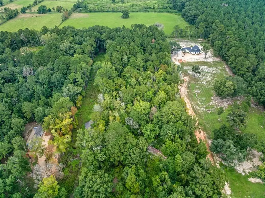 24411 Michael Drive, Ponchatoula, LA 70454 - #3